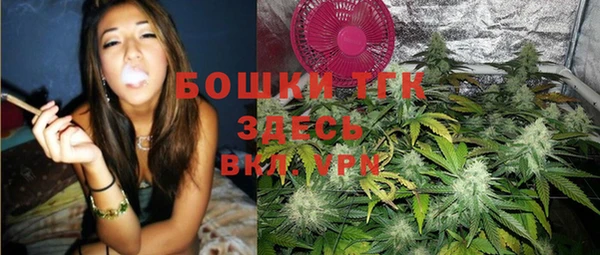 тгк Абаза