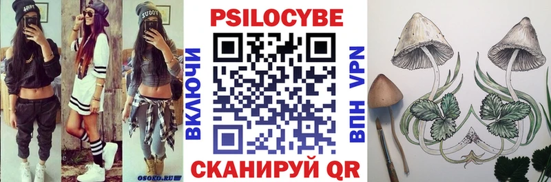 kraken   Карабаново  Галлюциногенные грибы GOLDEN TEACHER 